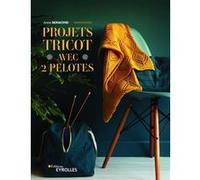 Projets tricot avec 2 pelotes Anne Bermond (Auteur)