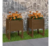 Prolenta Premium - Bac à plantes 2 pcs. Marron miel 40x40x52,5 cm Pin massif