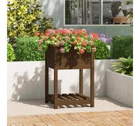 Prolenta Premium - Bac à plantes avec étagère Marron miel 54x54x81 cm Pin massif