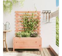 Prolenta Premium - Bac à plantes avec treillis 79x39,5x114 cm bois massif Douglas