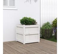 Prolenta Premium - Bac à plantes blanc 50x50x50 cm pin massif