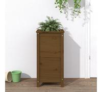 Prolenta Premium - Bac à plantes brun miel 40x40x78 cm pin massif