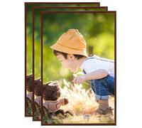Prolenta Premium - Cadre photo Collage 3 pcs. pour mur table bronze 59,4x84cm MDF