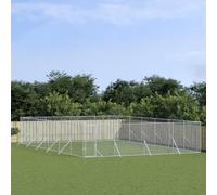 Prolenta Premium - Chenil extérieur argenté 8x12x2 m Acier galvanisé