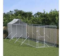 Prolenta Premium - Chenil extérieur avec toit Argenté 2x10x2,5 m Acier Galvanisé