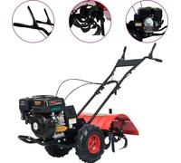 Prolenta Premium - Fraiseuse de jardin à essence 6,5 CV 196 cm³