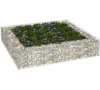 Prolenta Premium - Gabion haut acier galvanisé 100x100x20 cm