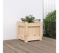 Prolenta Premium - Jardinière 31x31x31 cm en pin massif