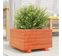 Prolenta Premium - Jardinière Cire Marron 40x40x26,5 Cm Bois De Pin Massif Marron