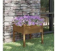 Prolenta Premium - Jardinière Marron Miel 70x70x70 cm Pin massif