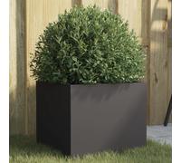 Prolenta Premium - Jardinière Noir 32x30x29 Cm Acier Noir