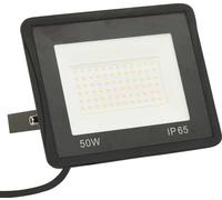 Prolenta Premium - Projecteur à LED 50 W blanc froid