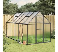 Prolenta Premium - Serre Avec Cadre De Base Anthracite 334x169x195 Cm Aluminium Anthracite