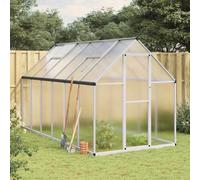 Prolenta Premium - Serre Avec Cadre De Base Argenté 334x169x195 Cm Aluminium Argent