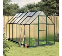 Prolenta Premium - Serre Avec Cadre De Base Vert 334x169x202 Cm Aluminium Vert