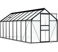 Prolenta Premium - Serre avec fondations Anthracite Aluminium 9,31 m²