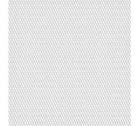 Prolenta Premium - Treillis métallique expansé en acier inoxydable 100x85 cm 20x10x2 mm