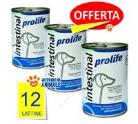 Prolife Chien Veterinary Intestinal 400 Grammes De 1 Jusqu'À 36 Paquets X Chiens