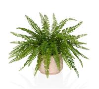 Proliferum - Plante artificielle Vert