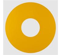 PROLIFIC Édition Limitée Exclusivité Fnac Vinyle Jaune Vinyle
