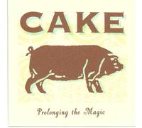 Capricorn Heiztechnik – Cake – Prolonging the Magic