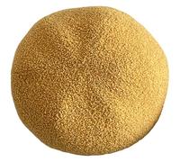 PromCaeruyn Oreiller Décoratif en Peluche Doux Mignon Style Préppy - pour Chambre à Coucher, Salon, Lit, Canapé, Bureau, Voiture et Chambre de Dortoir(Yellow,C)