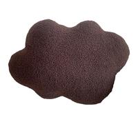PromCaeruyn Oreiller Décoratif en Peluche Doux Mignon Style Préppy - pour Chambre à Coucher, Salon, Lit, Canapé, Bureau, Voiture et Chambre de Dortoir(Dark Brown,D)