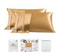 PROMEED Lot de 2 taies d'oreiller en Soie de mûrier 23 Momme 100% 3ème génération Grade 6+ pour Cheveux de Femmes, taies d'oreiller rafraîchissantes pour Les dormeurs Chauds