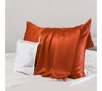 PROMEED Taie d'oreiller en Soie de mûrier 23 mommes pour Les Cheveux et la Peau, taie d'oreiller en Soie de mûrier 6A+ améliorée avec Fermeture éclair, taie d'oreiller rafraîchissante pour Les