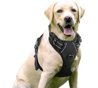 Promenade en toute confiance : Harnais pour animaux sans étranglement, sangles réfléchissantes pour une visibilité accrue