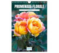 Promenade florale (Calendrier mural 2027 DIN A4 horizontal), CALVENDO calendrier mensuel: Mosaïque de fleurs pour un parcours floral