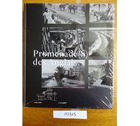PROMENADES DES ANGLAIS