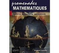 Promenades mathématiques - Histoire, fondements, applications Frédéric Laroche (Auteur)