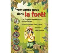 Promenons-nous dans la forêt à la découverte des animaux et des plantes