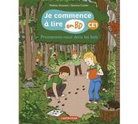 Promenons-nous dans les bois Mathieu Grousson (Auteur), Séverine Cordier (Illustration)