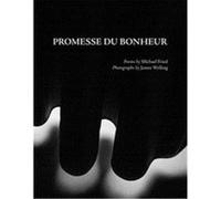 Promesse Du Bonheur /Anglais Fried, Michael (Auteur)