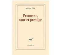 Promesse, tour et prestige Gérard Macé (Auteur)