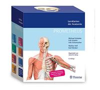 Thieme – Cartes d'apprentissage PROMETHEUS d'anatomie