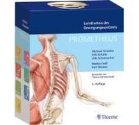 Prometheus Lernkarten Des Bewegungssystems