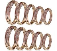 Prominy 10 Rouleaux Bonsai Wires Fil De Formation Bonsai en Aluminium Anodisé en 5 Tailles Kit De Démarrage - 1,0 Mm, 1,5 Mm, 2,0 Mm, 2,5 Mm, 3,0 Mm, Total 164 Pieds Marron