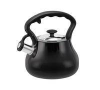 Promis Bouilloire TMC21C noire acier inoxydable 3 l