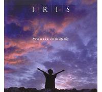 Promise I'm on My Way