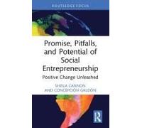 Promise, Pitfalls, And Potential Of Social Entrepreneurship