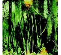 Promise Ring, The - Wood / Water