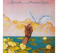 Promised Heights Vinyle