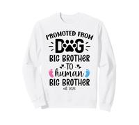Promoted from Dog Big Brother to Human Brother est 2026 Bro Sweatshirt