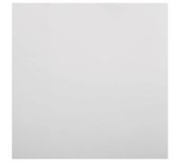 PROMUNDI Serviette en papier 38x38cm 2 plis x50 blanche