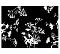 Pronappe 500 Sets de Table Papier Gaufré 30x40cm Floral noir et blanc