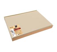 PRONAPPE Barquette de 100 sets de table spundbond, unis - Format 30x40cm - Ficelle