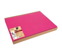 PRONAPPE Barquette de 100 sets de table spundbond, unis - Format 30x40cm - Hortensia